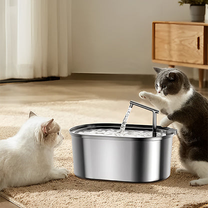 Gros plan d’un chat buvant à une fontaine eau inox 304, bec cascade