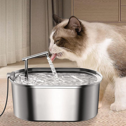 Fontaine à eau chat en inox 304, eau courante rassurante même en votre absence