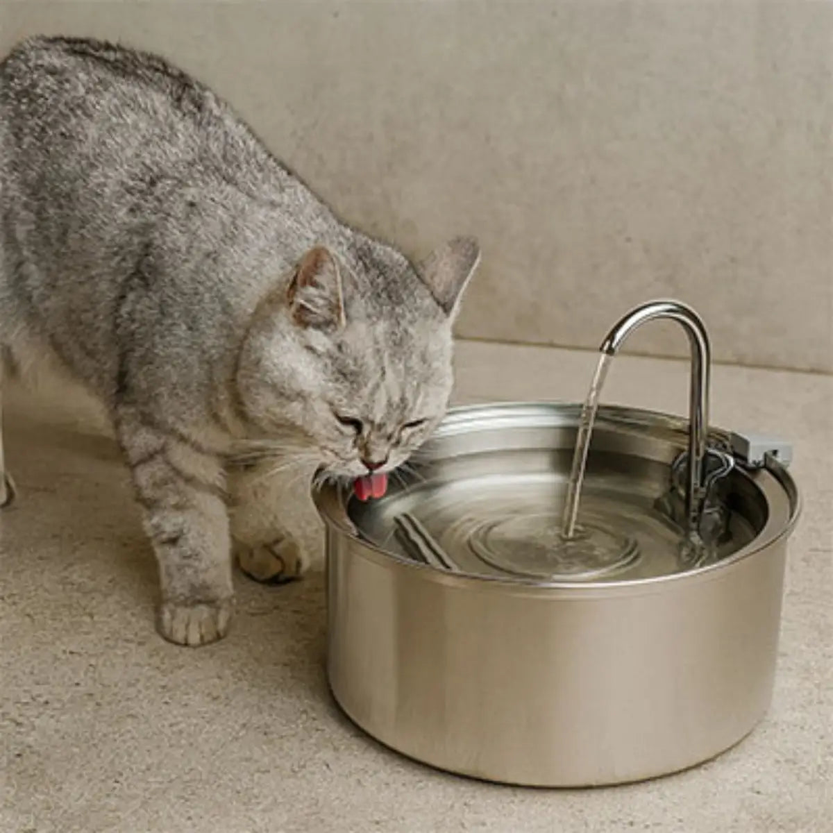 fontaine a eau chat en inox avec un design moderne et un chat en train de boire - ambiance cosy