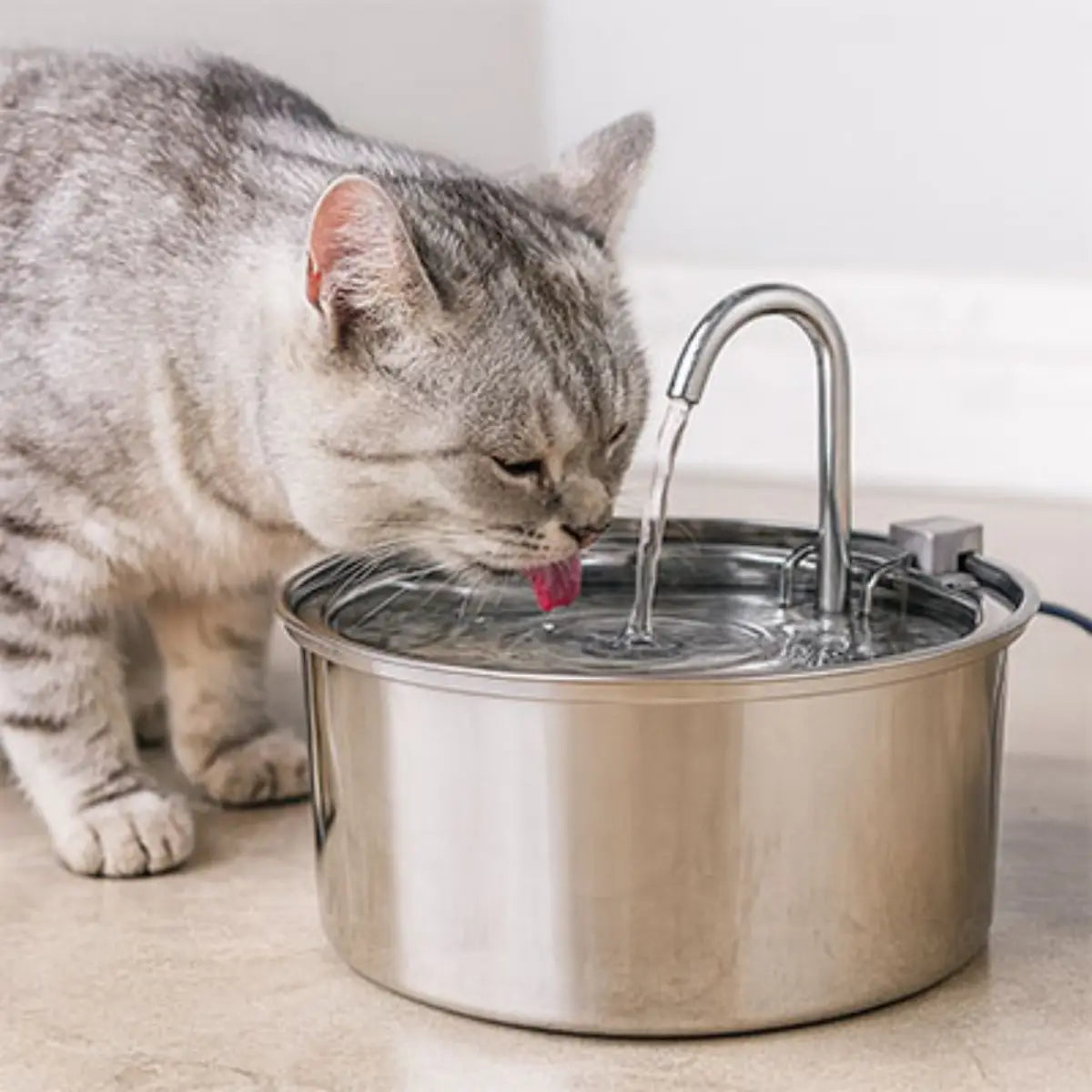 fontaine a eau chat en inox, design moderne et pratique pour hydrater votre animal