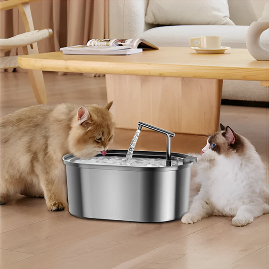 Deux chats jouent près d’une fontaine à eau en inox, hydratation ludique et continue