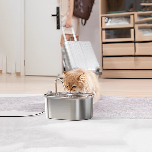 Fontaine à eau chat en acier inoxydable, branchement USB, grande capacité