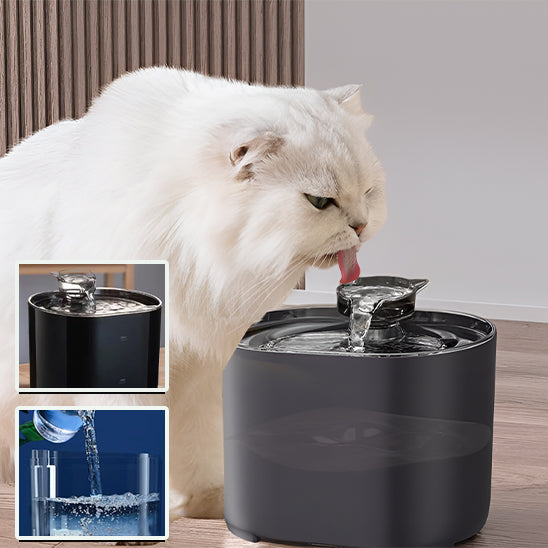 Fontaine à eau chat noire, chat qui boit au jet en cascade, eau fraîche filtrée