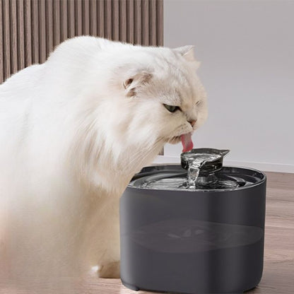 Fontaine à eau chat noire, chat qui boit au jet en cascade, eau fraîche filtrée