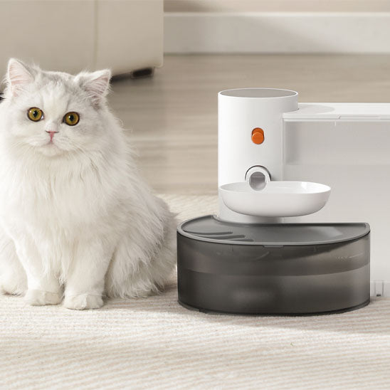 fontaine à eau chat grande capacité avec bol surélevé
