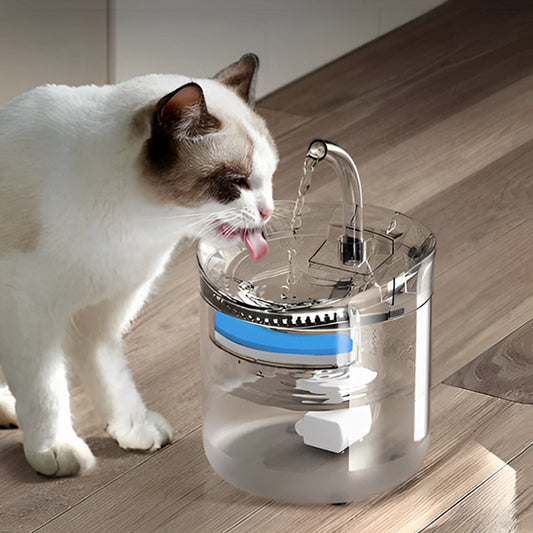 fontaine a eau chat transparente avec bec métal sécurisé et pompe basse tension