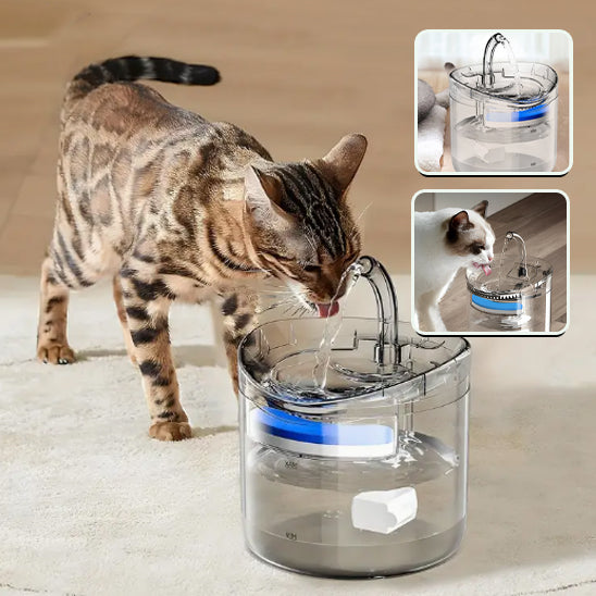 fontaine a eau chat transparente à jet en arc, chat en train de boire