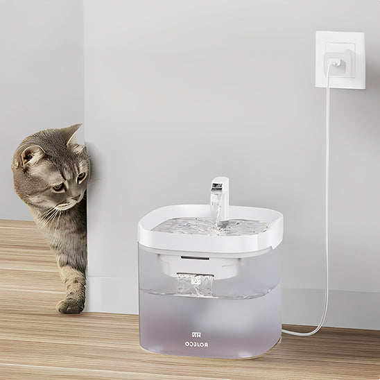 fontaine à eau pour chat USB compatible powerbank/prise, câble discret