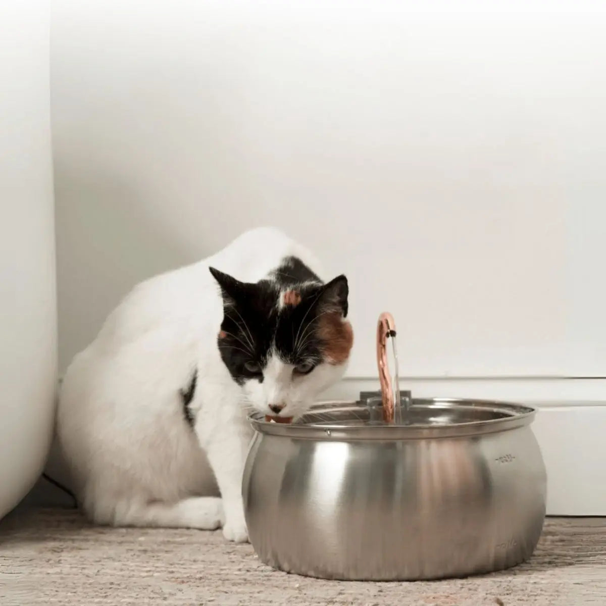 Chat d'intérieur calico buvant avec plaisir à une fontaine à eau automatique et silencieuse, assurant son bien-être et sa bonne hydratation au quotidien.