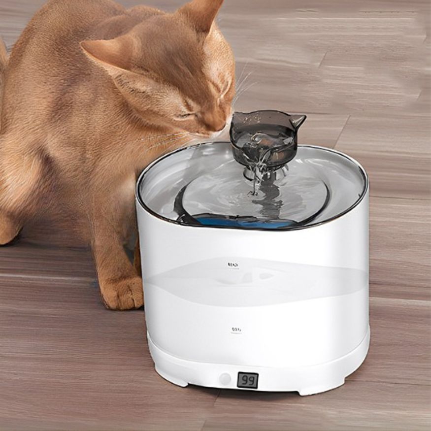 Fontaine à eau pour chat blanche avec jet en cascade et écran, incite à boire davantage