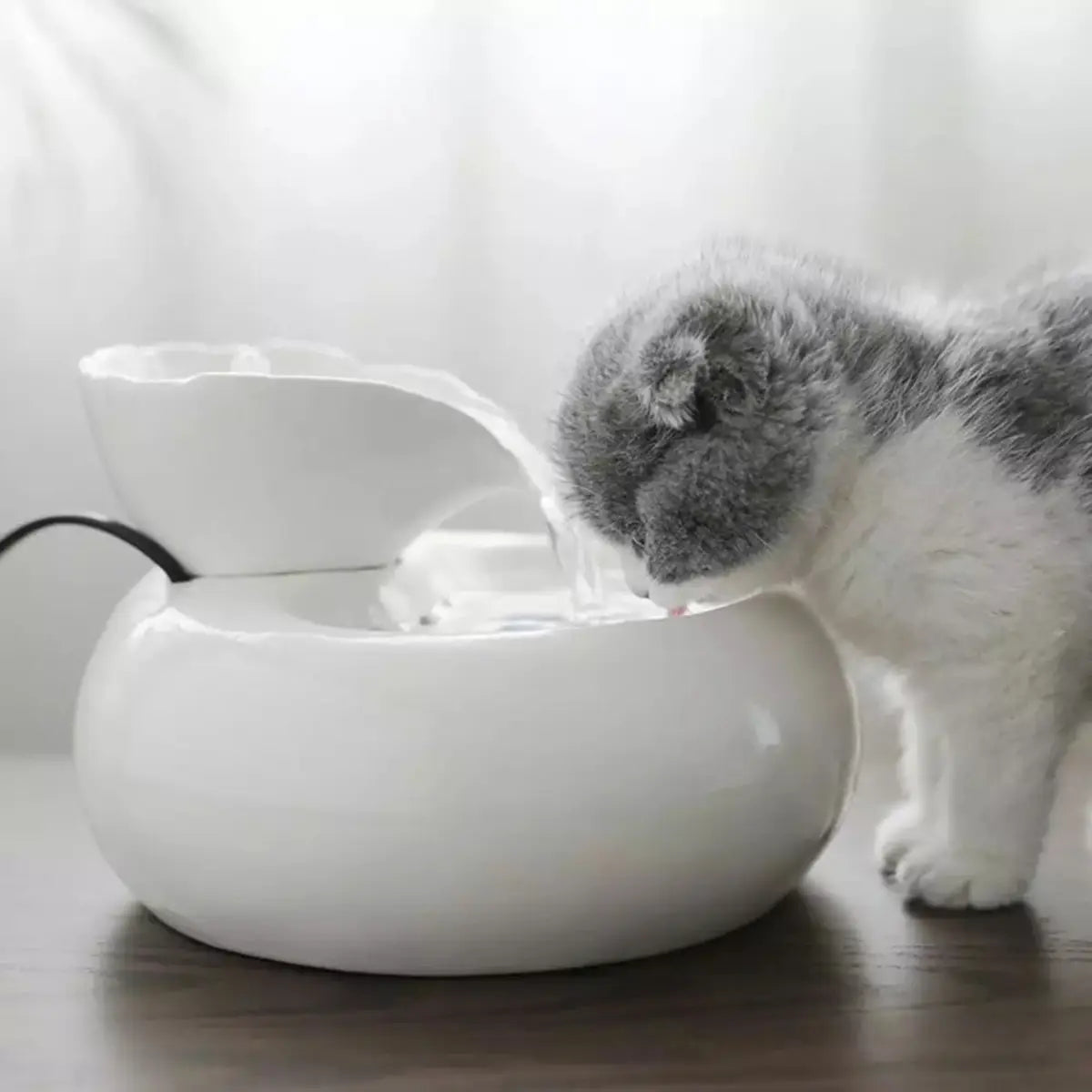 fontaine a eau pour chat ceramique design moderne avec un chat buvant - ambiance cosy