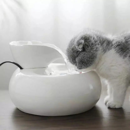 fontaine a eau pour chat ceramique design moderne avec un chat buvant - ambiance cosy