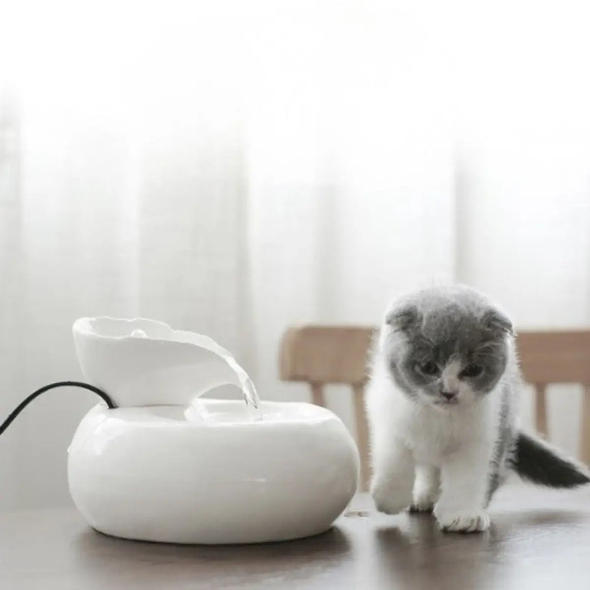 fontaine a eau pour chat ceramique en design élégant avec un chaton à proximité - vue de dessus
