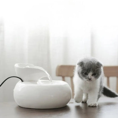fontaine a eau pour chat ceramique en design élégant avec un chaton à proximité - vue de dessus