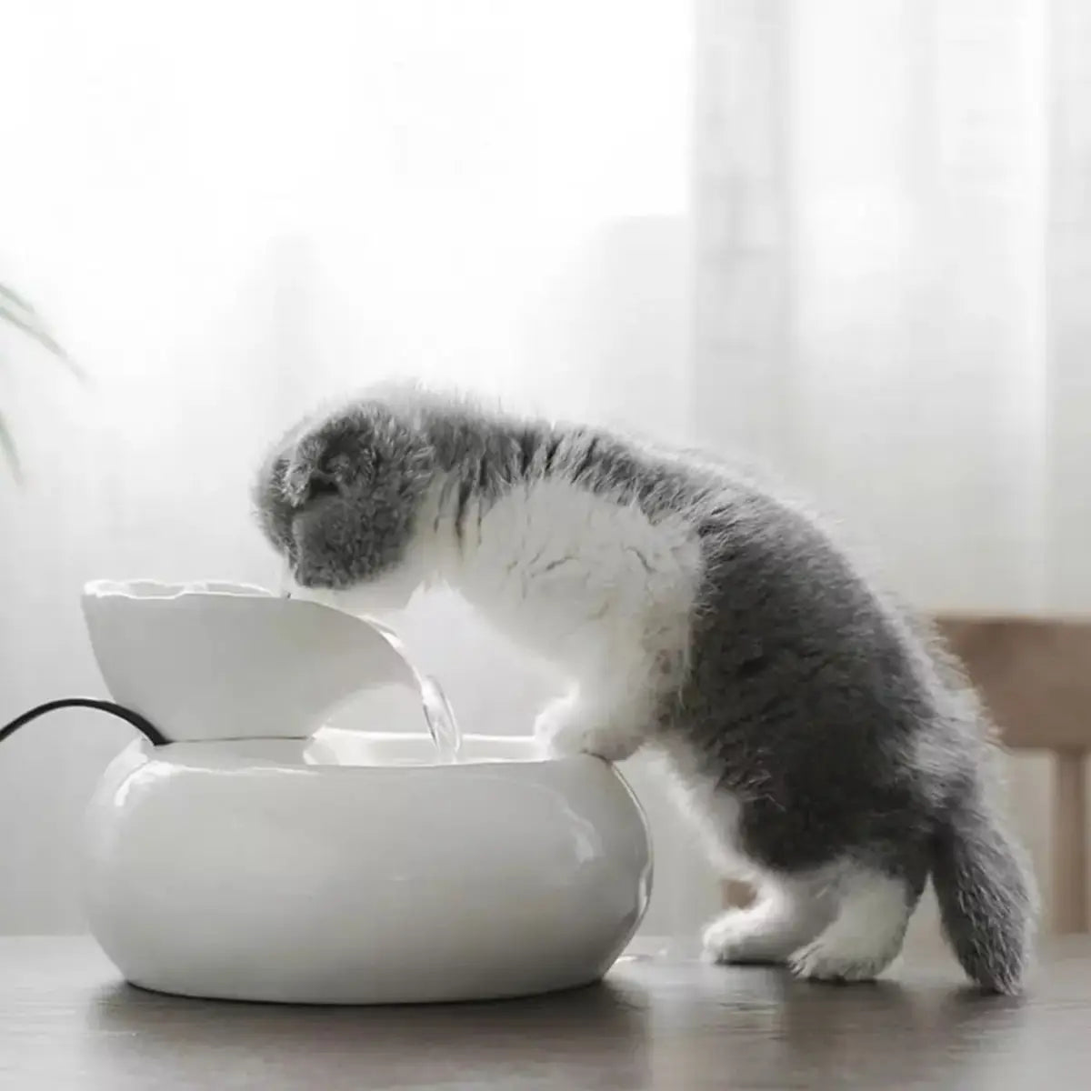 fontaine a eau pour chat ceramique SourceMinou design élégant et pratique pour chats - fond neutre