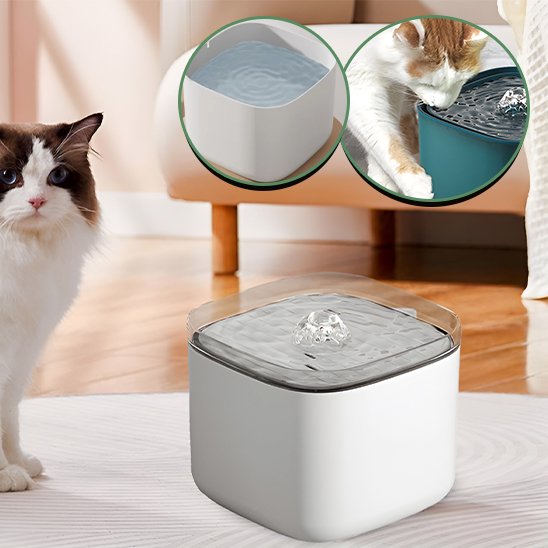 Fontaine à eau pour chat de grande capacité 3L, assurant une hydratation continue pour le bien-être et la santé de votre animal.