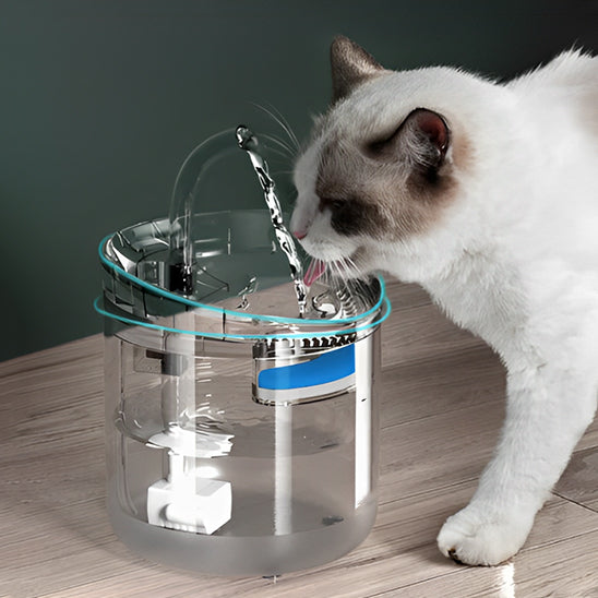 fontaine à eau pour chat à jet continu qui stimule le chat à boire davantage