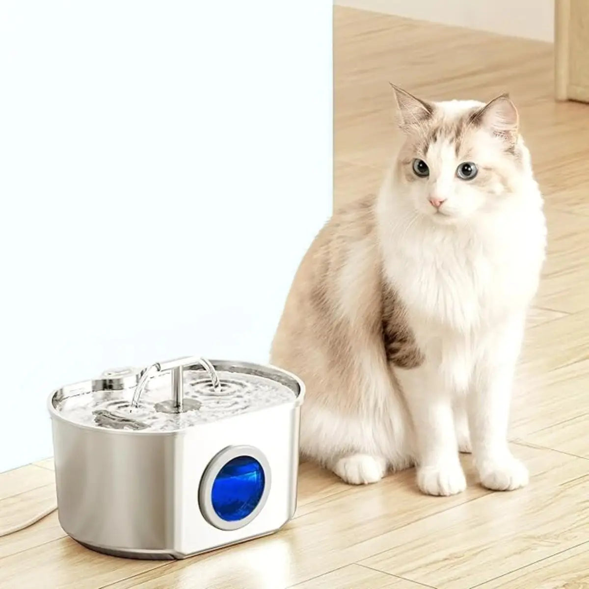 Chat blanc curieux observant fontaine à eau circulante CrystalFlow design moderne adapté appartement