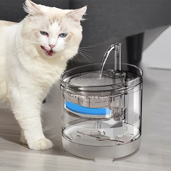 fontaine eau chat anti-éclaboussures au débit constant, idéale pour chats d’intérieur