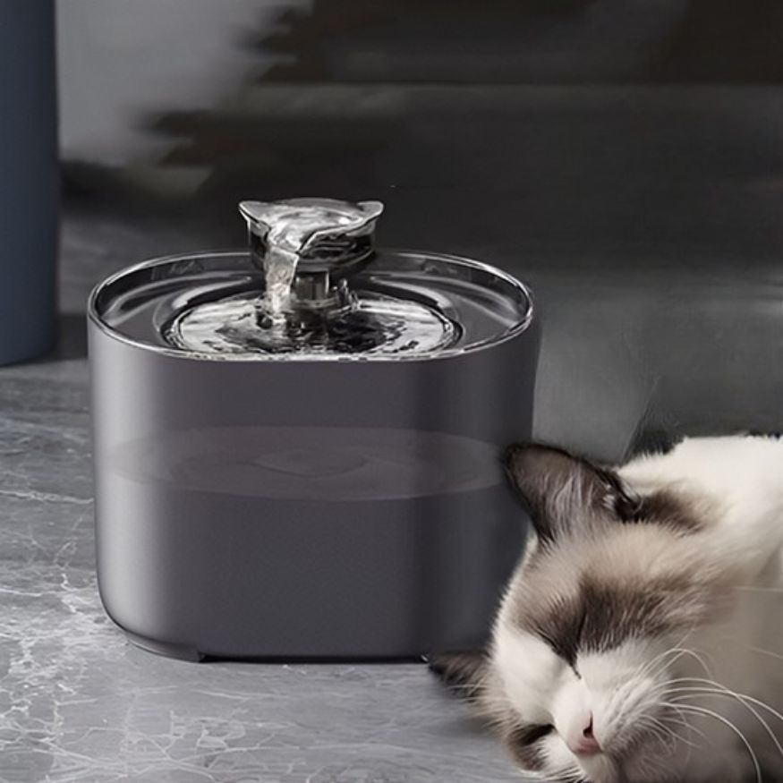 Fontaine eau chat silencieuse noire, design moderne pour intérieur, encourage l’hydratation