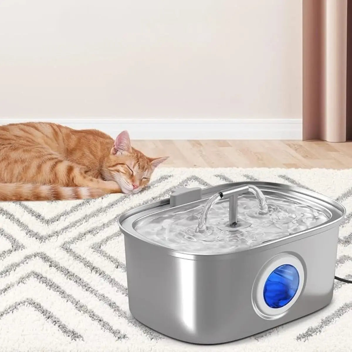 Chat roux se reposant paisiblement à côté de la fontaine à eau CrystalFlow en acier inoxydable avec lumière LED bleue