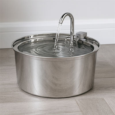 fontaine à eau pour chat en acier inox 304 grande capacité avec filtration