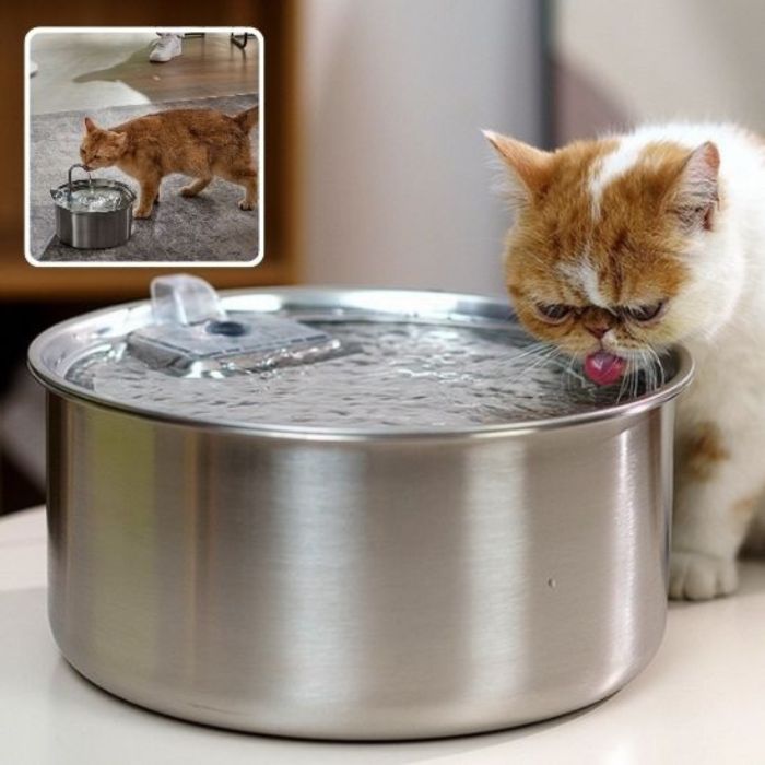 Chat blanc buvant dans la fontaine à eau pour chat AquaPure en inox 3,2L