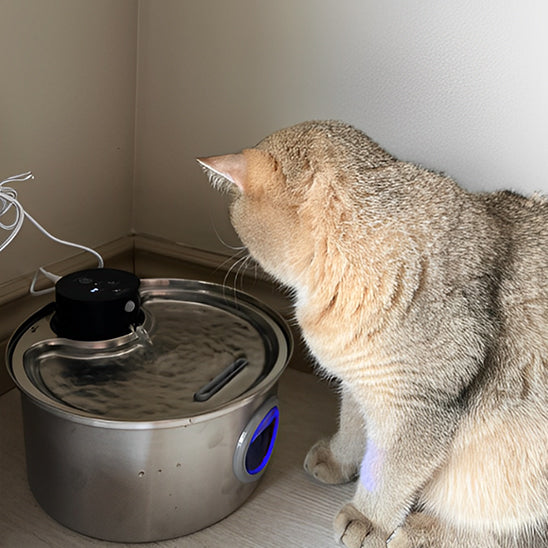 fontaine à eau pour chat en inox AquaInox 3,2 L ultra silencieuse dans un coin de cuisine
