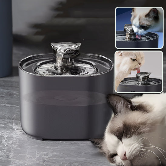 Fontaine eau chat silencieuse noire, design moderne pour intérieur, encourage l’hydratation