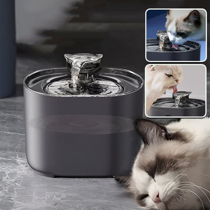 Fontaine eau chat silencieuse noire, design moderne pour intérieur, encourage l’hydratation