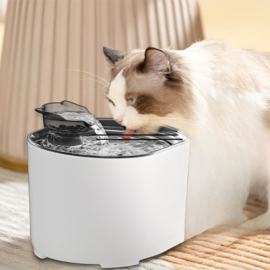 Fontaine eau chat blanche avec bec en forme de tête de chat, jet latéral, hydratation optimale
