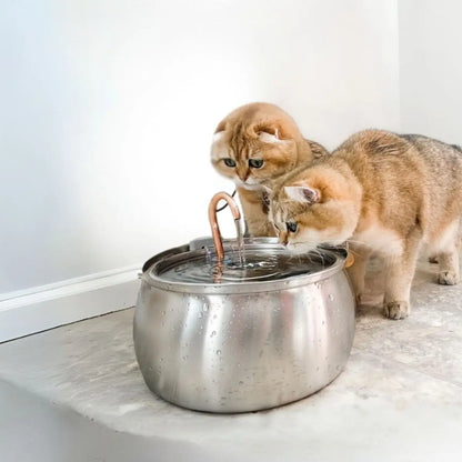 Deux chats Scottish Fold partagent sereinement une fontaine à eau design en acier inoxydable, une solution idéale pour les foyers avec plusieurs animaux.