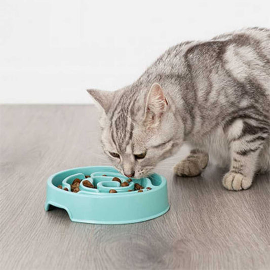 Chat mangeant dans une gamelle anti glouton CroqLento™ repas sécurisés