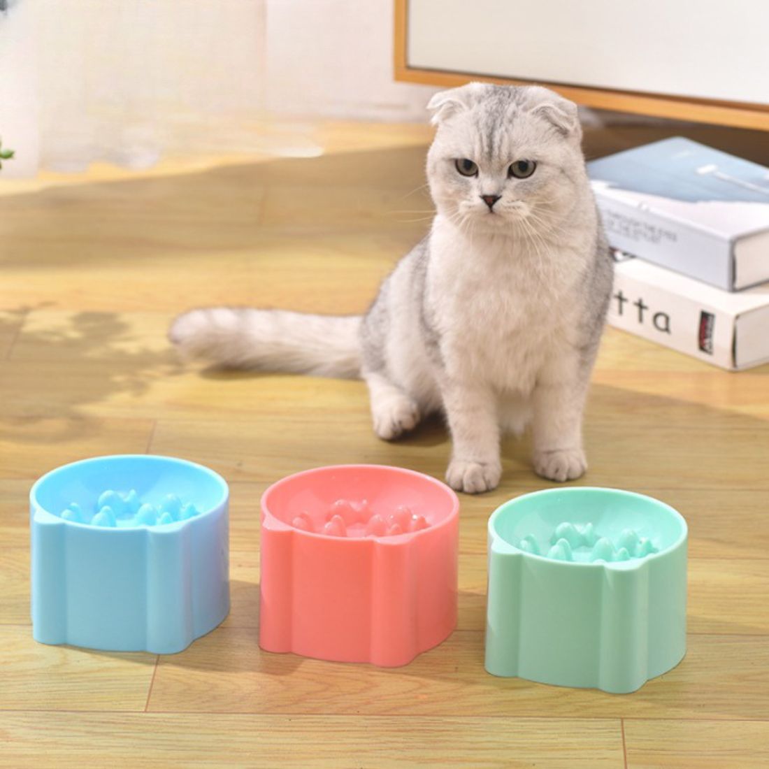 Chat assis devant trois gamelles anti-glouton colorées ErgoLick - gamelle anti glouton chat ErgoLick