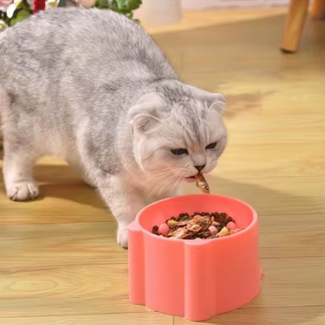 Chat mangeant dans une gamelle anti-glouton rose ErgoLick avec croquettes - gamelle anti glouton chat ErgoLick