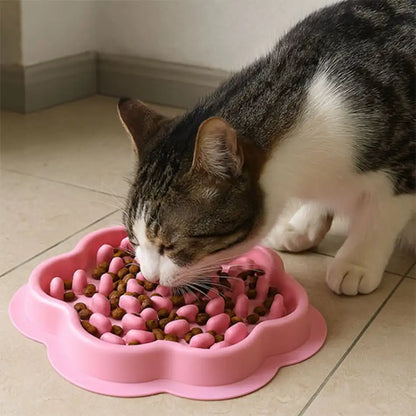 Gamelle chat anti glouton rose compatible croquettes et pâtée, nettoyage facile