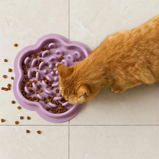 Gamelle pour chat anti glouton violette avec chat roux, repas ralenti, moins de vomissements