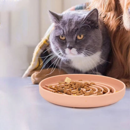 Chat gris allongé sous une couverture près d’une gamelle anti glouton chat remplie de croquettes