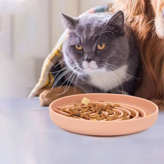 Chat gris allongé sous une couverture près d’une gamelle anti glouton chat remplie de croquettes