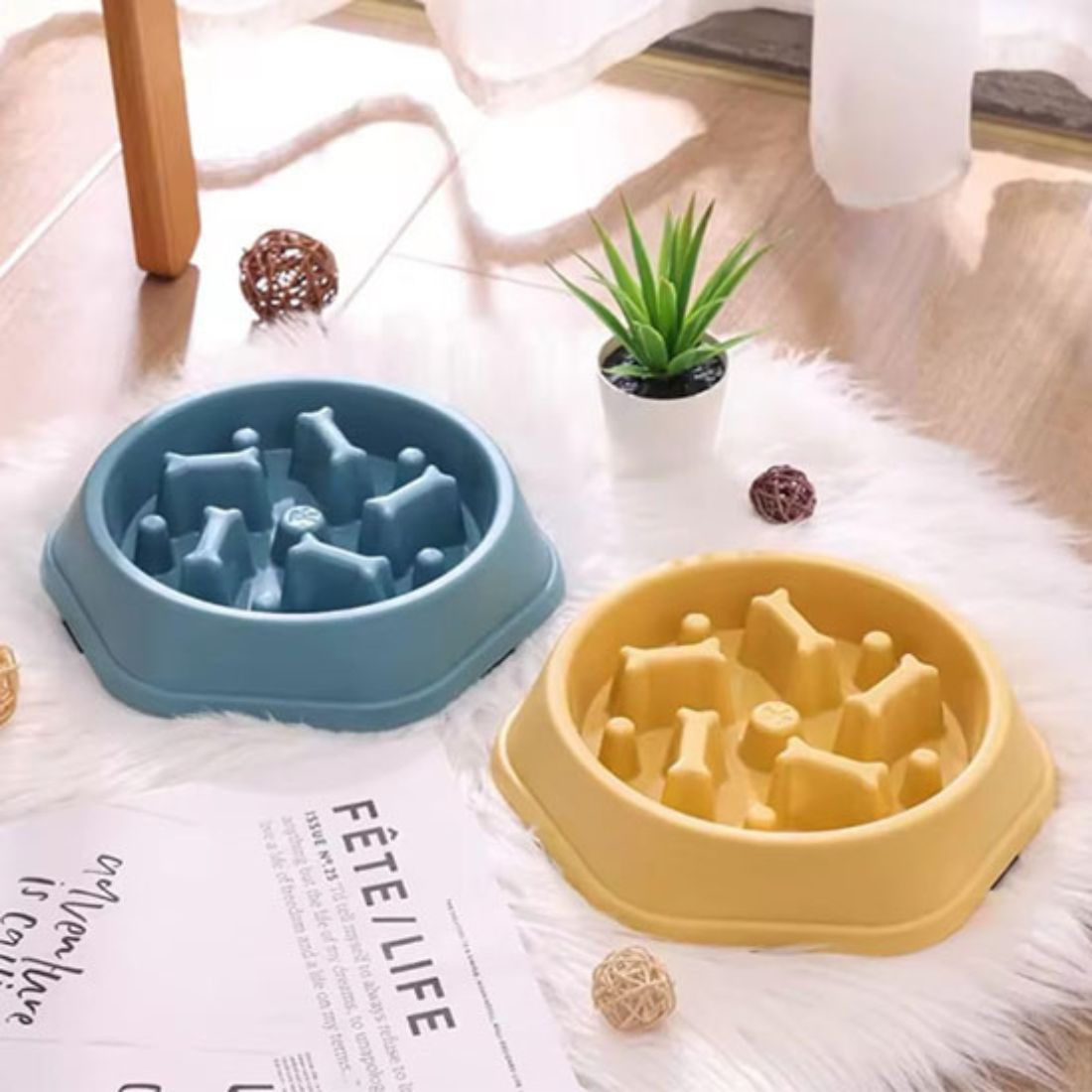 deux gamelles anti glouton chat bleu et jaune posées sur un tapis avec une plante et lumière naturelle
