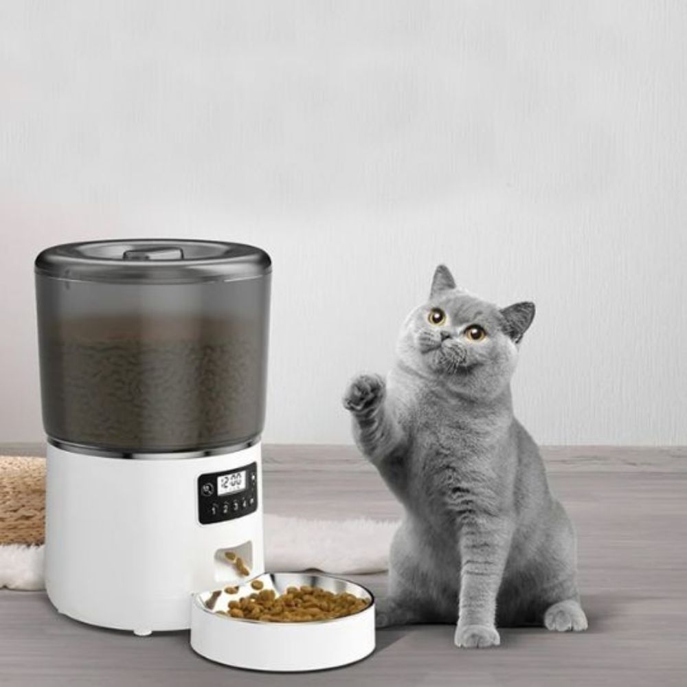 Chat gris jouant à côté d’une gamelle automatique avec distributeur croquettes chat moderne.
