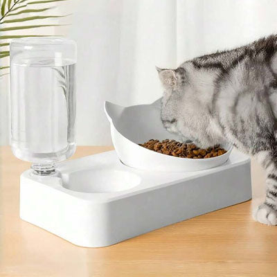 Gamelle 2-en-1 pour chat : bol incliné pour croquettes et hydratation continue