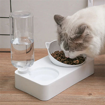 Gamelle chat 2-en-1 avec distributeur d’eau et bol incliné surélevé, chat ragdoll mangeant
