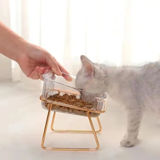 gamelle chat surélevée avec base antidérapante stable