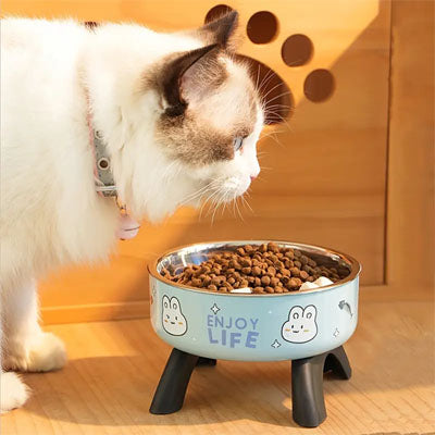 Gamelle chat surélevée hauteur idéale avec bol inox, pieds antidérapants pour éviter les renversements.