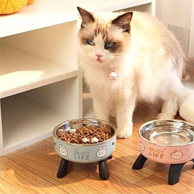 Gamelle chat surélevée avec deux bols inox bleu et rose, repas confortable pour chat, design “ENJOY LIFE”.