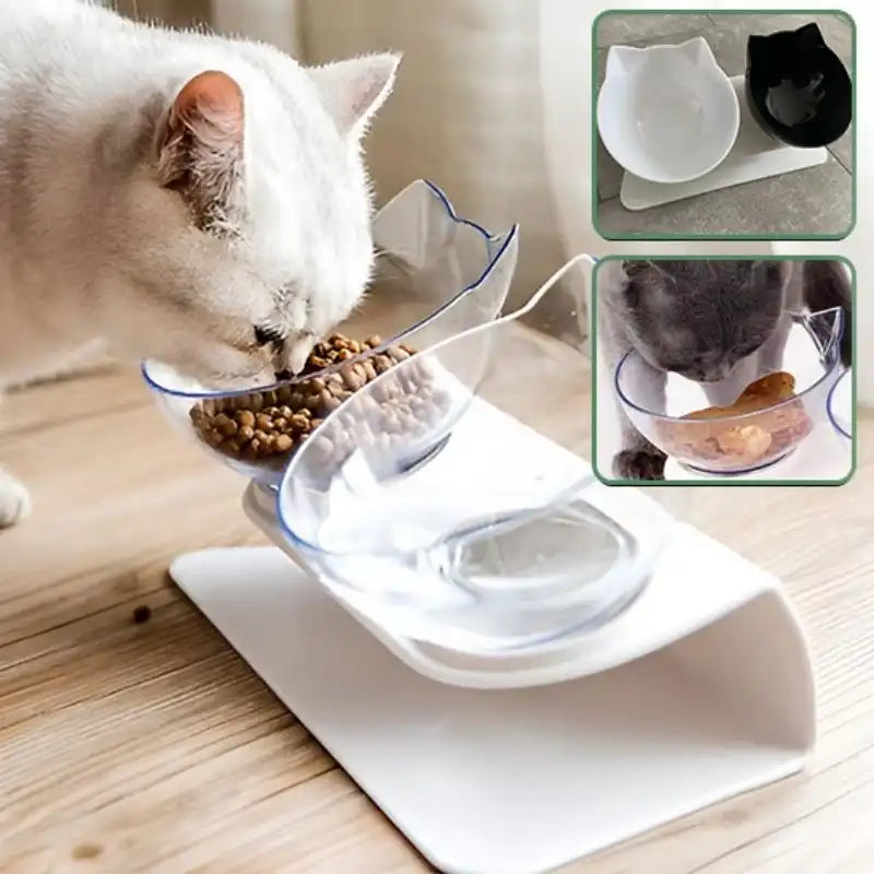 gros plan sur la gamelle chat surélevée double bol incliné, eau et nourriture séparées