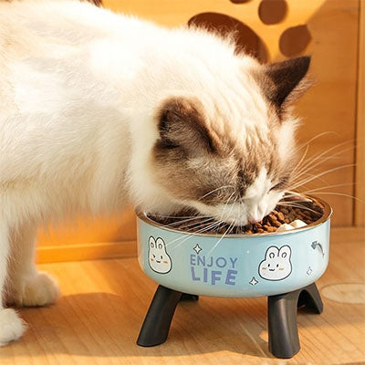 Gamelle chat surélevée ergonomique, réduit la tension cervicale et favorise une meilleure digestion.