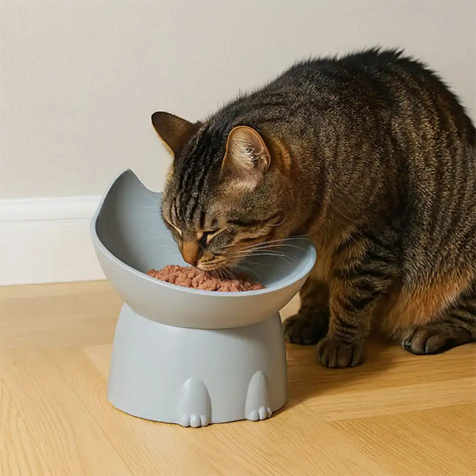 gamelle chat surélevée grise – pâtée, accès facile et posture naturelle