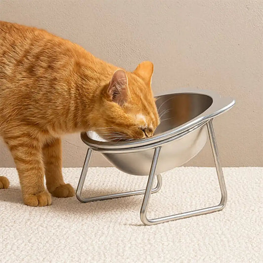 Gamelle pour chat surélevée en inox, bol incliné ergonomique pour repas confortables